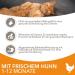 IAMS Junior Dry Cat Food with Chicken for Kittens (1-12 Months) - 1.5 kg Pack | Premium Nutrition for Healthy Growth - Buy Online on GoSupps.com