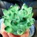Beautiful Green Quartz Crystal Cluster Specimen Suitable for Home HOMEZHOU (Size : 800-900g) - Buy Online on GoSupps.com