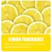 Big D 151 Granular Deodorant Moisture Absorbent Lemon Fragrance 25 lb Container - Absorbs Accidental Spills for Easy Clean-up - Ideal for use in Garbage dumpsters Trash cans kennels - Buy Online on GoSupps.com