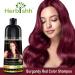 Herbishh Magic Hair Dye Shampoo for Gray Hair - 500ml Long Lasting 3-in-1 Ammonia-Free Hair Color (Burgundy) - Buy Online on GoSupps.com