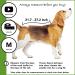 Suitical Original Recovery Suit - Professional Alternative to Dog Cone for Medium Dogs - Black - Buy Online on GoSupps.com