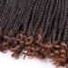 6 Packs Bob Box Braids Crochet Hair 10 Inch - Bohemian Curly Ends for Black Women - T30 Color - Buy Online on GoSupps.com