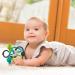 Infantino Slide & Teethe Bendy Knot - Buy Online on GoSupps.com