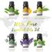 Asakuki 500ml Aroma Diffuser with 6 Essential Oils | Humidifier Timer Auto Shut-off & 7 LED Colors - Enhance Your Home with Fragrance - Buy Online on GoSupps.com