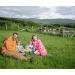 Gwenyn Gruffydd - British Blossom Honey 3kg Bulk Catering Tub - 100% Pure Natural Unpasteurized Raw Honey - Bulk Honey 3kg - Unheated - Gluten Free - Premium Honey from Non-Sugar Fed Bees UK - Buy Online on GoSupps.com