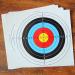 BCP 20PCS Multicolor 40cm 10 Ring Target Paper - High-Quality Shooting Practice Sheets - Buy Online on GoSupps.com
