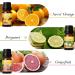 Salubrito Citrus Essential Oils Set - Sweet Orange, Bergamot, Lemon, Grapefruit - Set of 6 for Diffuser, Soap, Candle, Slime - Buy Online on GoSupps.com