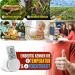 Buy 2-Pack Reptiles Terrarium Thermometer Hygrometer - Digital Waterproof Easy to Read | International Shipping - Buy Online on GoSupps.com