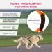 LASALINE Dog Harness X Back - Ideal for Canicross Dogscooter & Bikejoring | Black Neon Orange - Buy Online on GoSupps.com