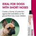Veterinary-Approved Akorn Artificial Tears for Cats and Dogs | Soothes Dry & Irritated Eyes | 3.5g Tube - Buy Online on GoSupps.com