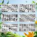 JSRQT Nail Art Stamping Plates Set - 6 Mixed Pattern Stencils for DIY Manicure | Sweet Panda Floral & Leaf Designs - Buy Online on GoSupps.com