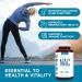 NAC Supplement 1000mg - Antioxidant Support for Liver Health & Detox - Boosts Lung & Immune Health - 120 Vegetable Capsules - Buy Online on GoSupps.com