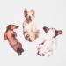 Suck UK Dog Nail File | Dog Shaped Buffering Gift | Nail Filer | Emery Board Accessories | 3 Different Dog Breed Designs | Nail File Buffer | Nail Salon Accessories - Buy Online on GoSupps.com