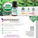 Buy Rocky Mountain Oils Organic Peppermint Essential Oil 15ml - 100% Pure & USDA Organic for Aromatherapy & Topical Use Ships Internationally - Buy Online on GoSupps.com