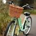 Prosource Wicker Bike Basket Front Cargo - Fits Most Bikes - Beach Cruiser, Ebike, Road Bike - Black/Light Brown - Buy Online on GoSupps.com