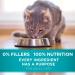 Purina ONE Tender Selects Blend Adult Dry Cat Food - High-Quality Nutrition for Cats - Buy Online on GoSupps.com