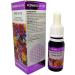  EQUISALUD Flowers of Life Sense of Life Certified organic natural remedy for flowers 15 ml dropper and spray - Buy Online on GoSupps.com