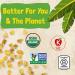 Barnana Organic Plantain Nuggets - Pink Salt, Coconut Oil, Savory Snack - Paleo, Vegan, Gluten-Free, USDA Organic - 4 oz (6-Pack) - Buy Online on GoSupps.com