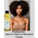 Rosemary Hair Growth Oil - Biotin & Panthenol for Curly & Coily Hair | Reduce Hair Loss & Strengthen Weak Hair - Buy Online on GoSupps.com