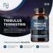 Tribulus Terrestris Extract 90 Capsules - High Strength Booster - UK Made Halal Supplements - Buy Online on GoSupps.com