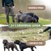 2-in-1 Jogging Line & Leash for Dogs | Dual Handle Dog Leash & Belly Belt for Large/Medium Dogs | Perfect for Walking Jogging & Hiking - Buy Online on GoSupps.com