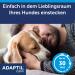 ADAPTIL Calm Refill Bottle 48ml - Soothing Solution for Dogs | International Shipping Available - Buy Online on GoSupps.com