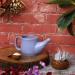 Ceramic Neti Pot Set with 5 Sachet Neti Salt - Spill Proof, Microwave Safe - Light Voilet Color - 250 ML - Buy Online on GoSupps.com