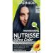 Garnier Hair Color Nutrisse Ultra Color Nourishing Creme BL21 Reflective Blue Black (Blackberry Mojito) Permanent Hair Dye 1 Count (Packaging May Vary)