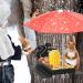 Giyiprpi Squirrel Feeder Metal Squirrel Feeder for Outdoor Use with Umbrella and Corn Stand Outdoor Hanging Squirrel Chipmunk Feeding Station (Black) - Buy Online on GoSupps.com