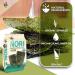 KIMNORI Organic Sea Salt Seaweed Snacks - 24 Individual Packs, 4g Each - Buy Online on GoSupps.com