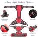 Heele Dog Crockery & No-Pull Harness for Medium Dogs | Reflective & Breathable Red Design - Buy Online on GoSupps.com