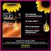 Garnier Olia Permanent Hair Dye Up to 100% Grey Hair Coverage No Ammonia 60% Oils Bold 7.40 Intense Copper Intense Copper 1 count (Pack of 1) - Buy Online on GoSupps.com