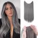 SEGOHAIR Invisible Wire Hair Extensions One Piece Hair Extensions Synthetic Hair Extension 20 inch Long Straight No Clip in Hairpieces Hair Pieces for Women-Dark Brown mix Silver Grey