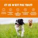 Zesty Paws 5-in-1 Multi-Functional - Dog Supplement in Treat Form - Complete Multivitamin Care - Calsporin Biotin - 90 Count (Turkey) - Buy Online on GoSupps.com