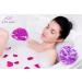 XL Loofah Bath Sponge Set by La Paix - Soft Exfoliating Shower Lufa for Silky Skin - Set of 4 Bright Colors - Long-Handle Mesh Body Poufs for Women and Men - Large Scrunchy for Full Cleanse & Lather - Buy Online on GoSupps.com