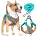 Rennaio dog harness no pull adjustable puppy dishes with 2 linen clips ultra comfortable chest harness and leash set for small and medium-sized dogs (Seeblau XL) Seeblau XL