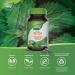 Nature's Way Nettle Herb - Nettle Leaf - Diuretic Support - Allergy Support - 100 Vegetarian Capsules - Buy Online on GoSupps.com