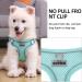 Rennaio No Pull Dog Harness & Leash Set - Adjustable Ultra Breathable Padded Chest Harness with Puppy Dishes & Clips for Small/Medium Dogs - Cyan M - Buy Online on GoSupps.com