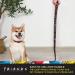 Friends TV Show Iconic Graphics Dog Leash - 6ft Puppy Lead for Dog Walking - Buy Online on GoSupps.com