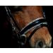 Tysons Breeches Nobless Bridle for Minishetty - Anatomically Cut Black Silver Grey with Rhinestones - Buy Online on GoSupps.com