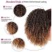 Drawstring Puff Afro Kinky Curly Ponytail - Clip-in Hair Extensions for African American Hair - Buy Online on GoSupps.com