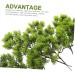 Cabilock 20 Pcs Simulated Pine Leaves Christmas Pine Picks Fern Garland Boutique Plastic Gift Dark Greenx4pcs mediumx4pcs - Buy Online on GoSupps.com