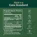 Gaia Herbs Ocular Pro Formula 60ct - Eye Health Support - Buy Online on GoSupps.com