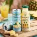 Folkington's Ginger Beer 12 x 250ml Cans - Premium Sparkling Soft Drink and Perfect Gin Mixer - Buy Online on GoSupps.com