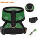 Chicken Harness with Leash Adjustable Chicken Leash for Hens Duck Puppy (Green M) Green M - Buy Online on GoSupps.com