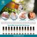 SocialSKN Sinus Relief Essential Oil Blend - Rosemary Peppermint Eucalyptus Frankincense - Congestion Relief Roll On 10ml - Buy Online on GoSupps.com