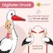 Gl cksgut Rattierorch Baby Pink 100 cm | 5-Part Birth Stork Set with Name Tag Greeting Card & Pen | Perfect Birth Gift for Baby Girls | Indoor & Outdoor Decoration - Buy Online on GoSupps.com