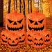 N/C 8PCS Pumpkin Leaf Bags Halloween Leaf Bags Pumpkin Trash Bags Halloween Lawn Bags Pumpkin Trash Bags For Leaves Pumpkin Bags For Leaves Pumpkin Bags Pumpkin Lawn Bags 8 Piece Assortment