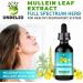 Undelio's Herbal Mullein Leaf Extract - Organic Alcohol-Free Tincture for Respiratory Lung Sleep Digestive Support - Non-GMO Vegan 2 fl. Oz Immune Health Lung Detox - Buy Online on GoSupps.com