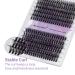 Buy Individual Eyelashes 240 PCs - C Curl Mix 12-16mm DIY Cluster Eyelash Extensions | Perfect for At-Home Use - Buy Online on GoSupps.com